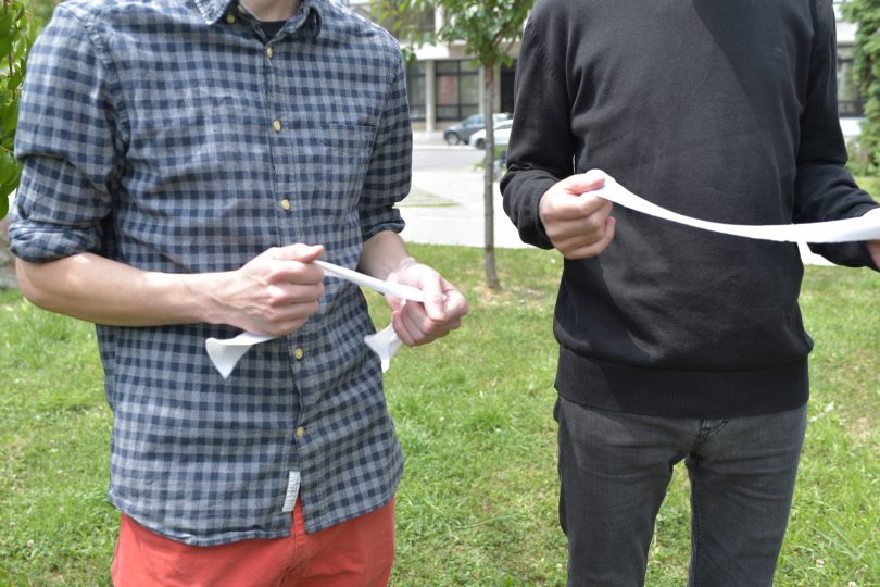 Dan belih traka (14)