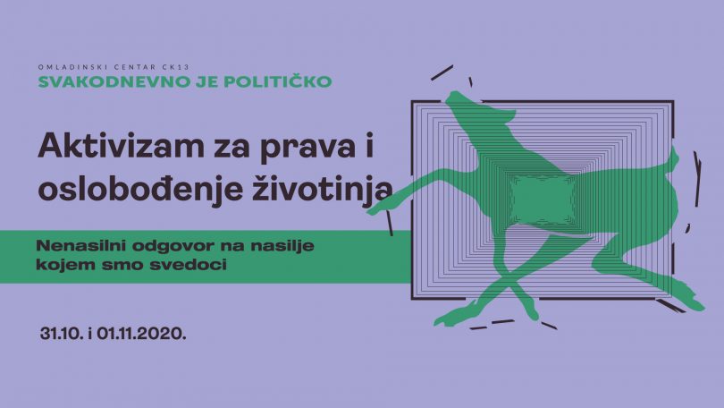 Seminar 8 cover