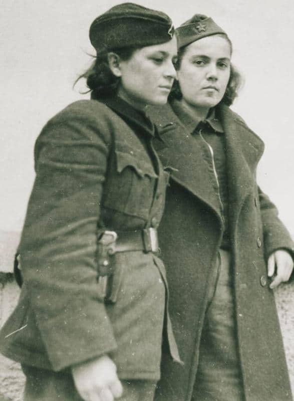 partizanske pesme ANP