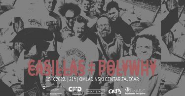 casillas_polywhy_web