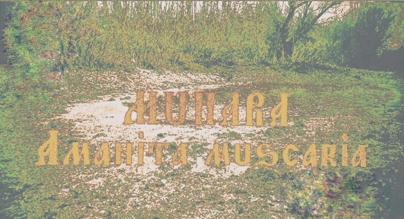 Hajdi-muhara-810x440