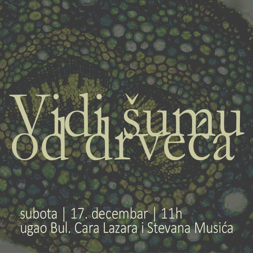 Vidi šumu od drveća